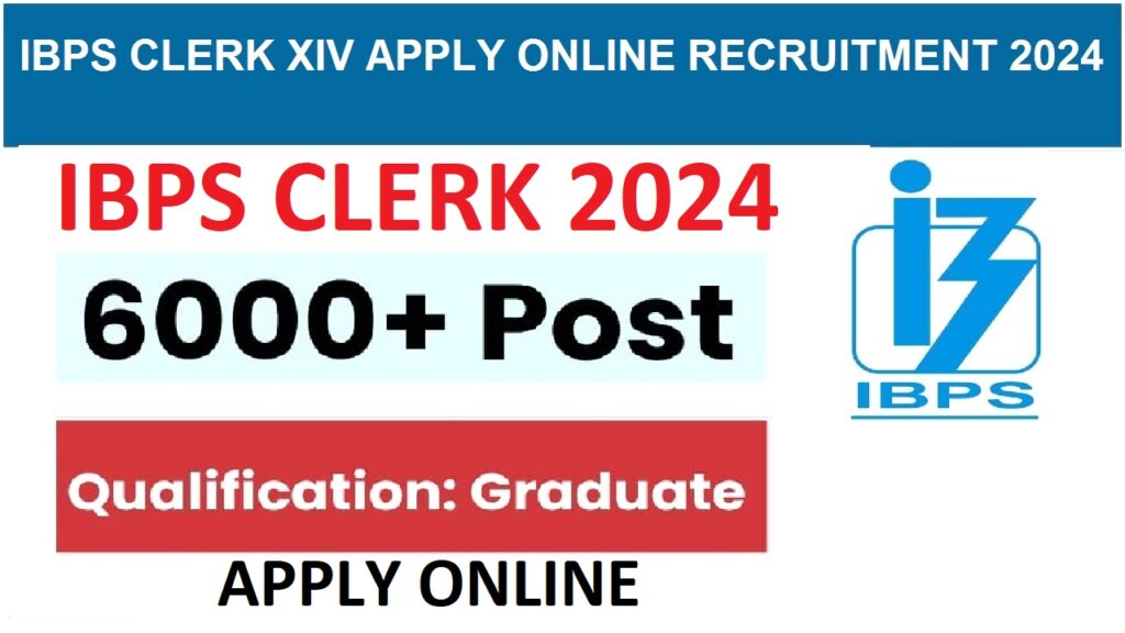 IBPS RECRUITMENT 2024